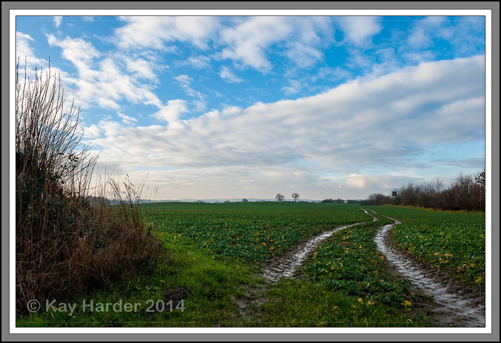 20140117_Ruppersdorf und Labor_009.jpg